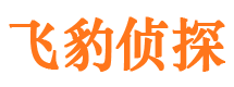 龙沙市侦探公司